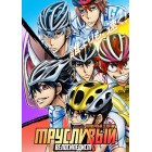 Трусливый велосипедист: Линия славы / Yowamushi Pedal: Glory Line (4 сезон) 